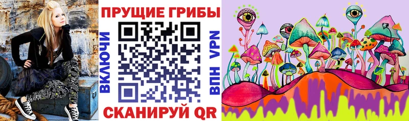 KRAKEN вход  мориарти официальный сайт  Слободской  Псилоцибиновые грибы Psilocybine cubensis  наркошоп 