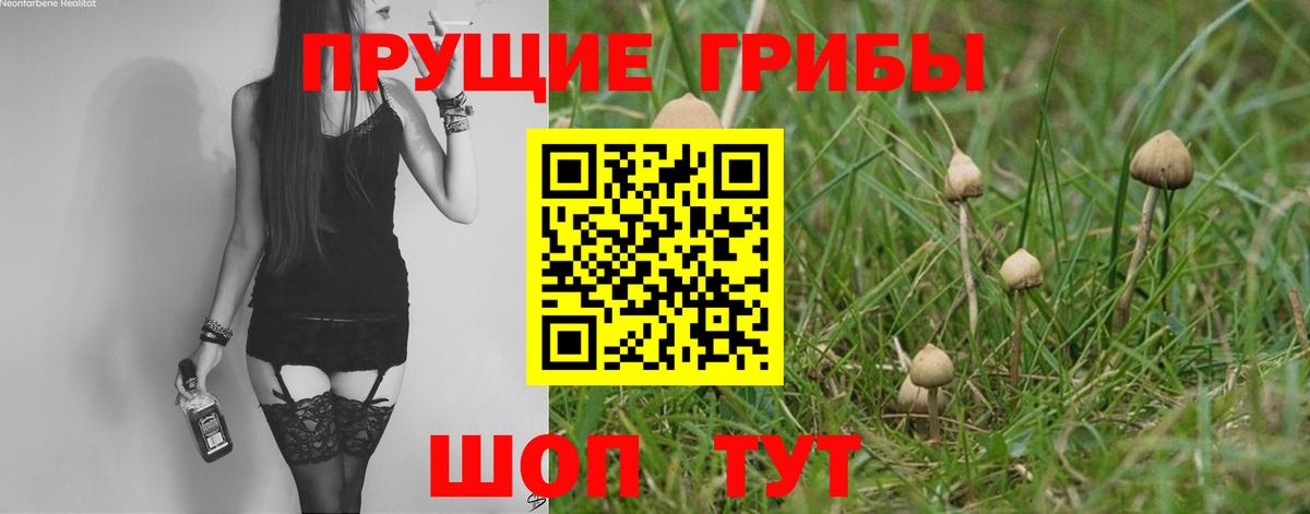 Галлюциногенные грибы Psilocybine cubensis  Вход с VPN  Слободской  Галлюциногенные грибы ЛСД 